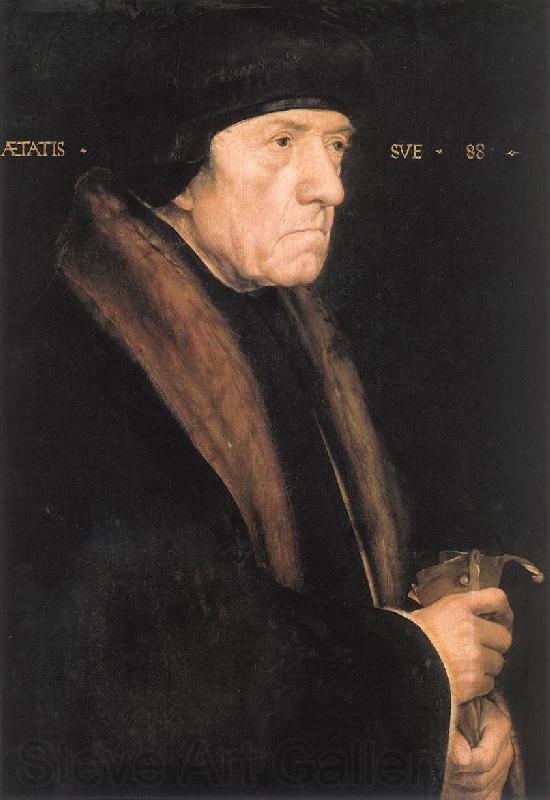HOLBEIN, Hans the Younger Portrait of John Chambers dg Norge oil painting art